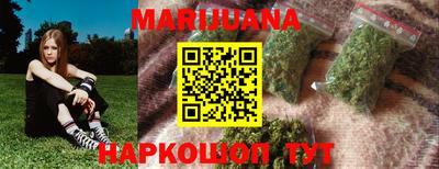 прущие грибы Дмитров